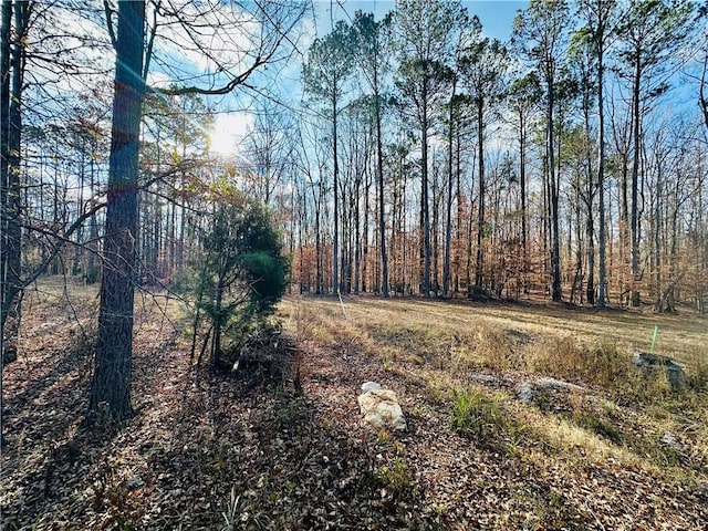 TBD Grove Hill Rd, Auburn, AL 36830 - view of yard