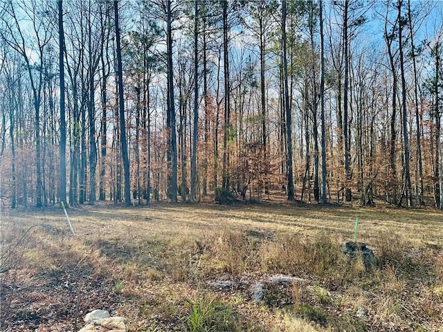 TBD Grove Hill Rd, Auburn, AL 36830 - view of yard