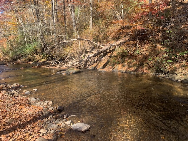 Listing photo 3 for LOT5 Spiva Cove Rd, Blairsville GA 30512