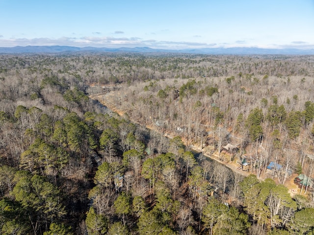 bird's eye view featuring a mountain view