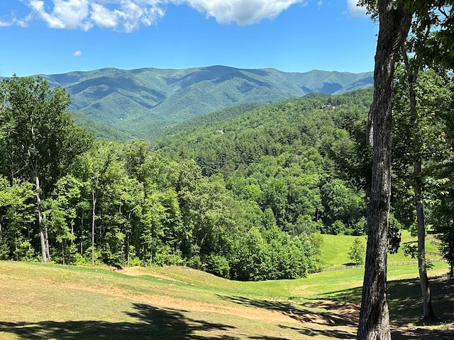 268 Getaway Holw, Hayesville, NC 28904 - view of mountain background featuring a forest