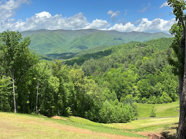 268 Getaway Holw, Hayesville, NC 28904 - mountain view featuring a heavily wooded area