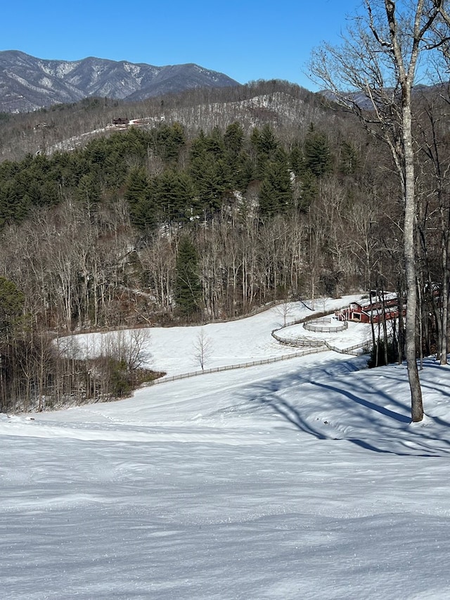 268 Getaway Holw, Hayesville, NC 28904 - view of mountain background