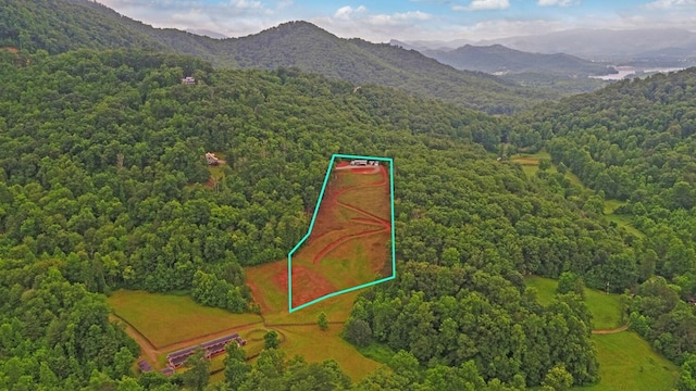 268 Getaway Holw, Hayesville, NC 28904 - aerial view of property's location with property boundaries highlighted and a mountainous background