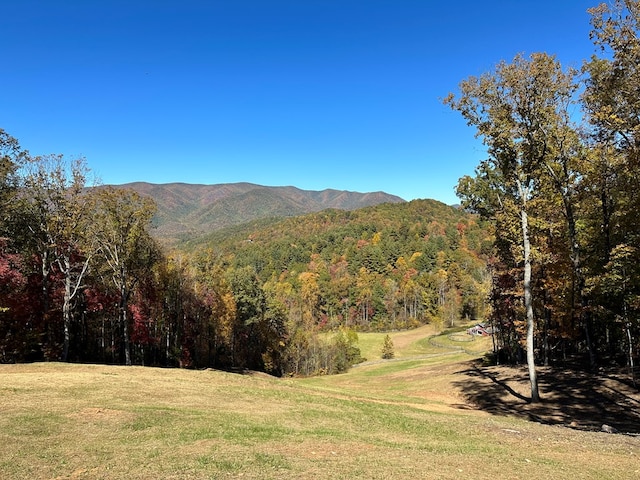 268 Getaway Holw, Hayesville, NC 28904 - view of mountain background featuring a heavily wooded area