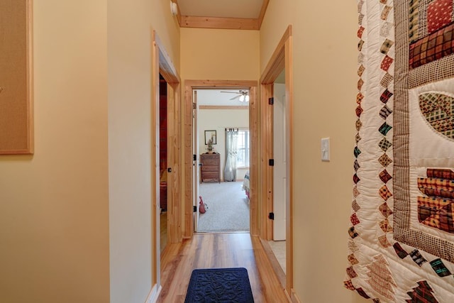 hall featuring crown molding and light hardwood / wood-style flooring