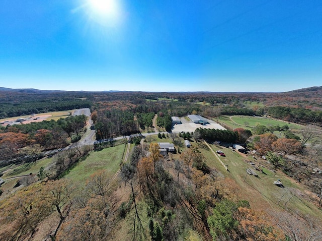 bird's eye view