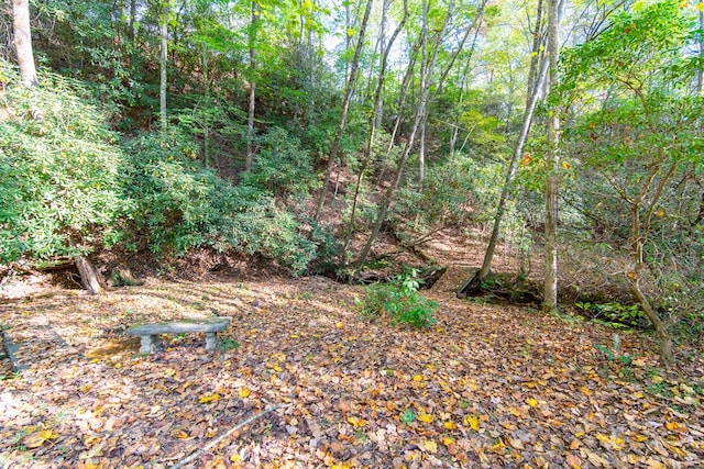 view of yard with a wooded view