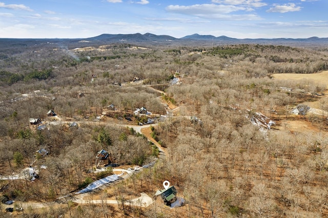 aerial view with a mountain view