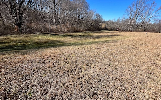 LT117 Owen Glen Dr, Blairsville GA, 30512 land for sale