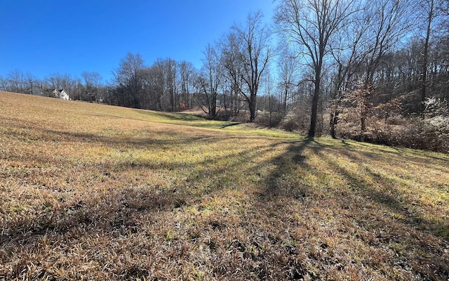 Listing photo 3 for LT117 Owen Glen Dr, Blairsville GA 30512