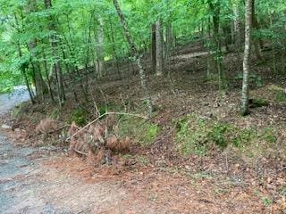 LOT253 Holiday, Ellijay GA, 30540 land for sale