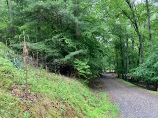 Listing photo 2 for LOT253 Holiday, Ellijay GA 30540