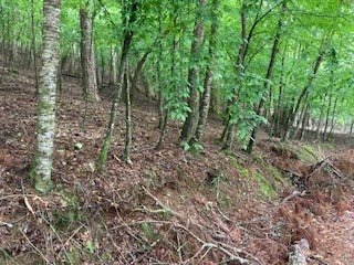 Listing photo 3 for LOT253 Holiday, Ellijay GA 30540