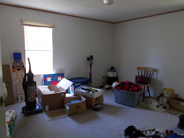 carpeted bedroom with ornamental molding