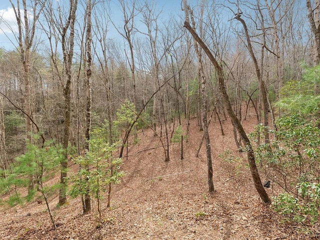view of nature