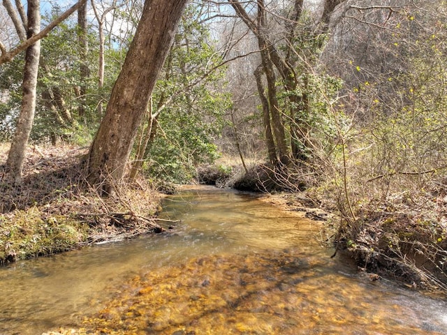 5AC Pack Creek Rd, Blue Ridge GA, 30513 land for sale