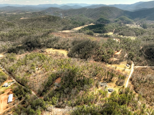 Listing photo 2 for 5AC Pack Creek Rd, Blue Ridge GA 30513