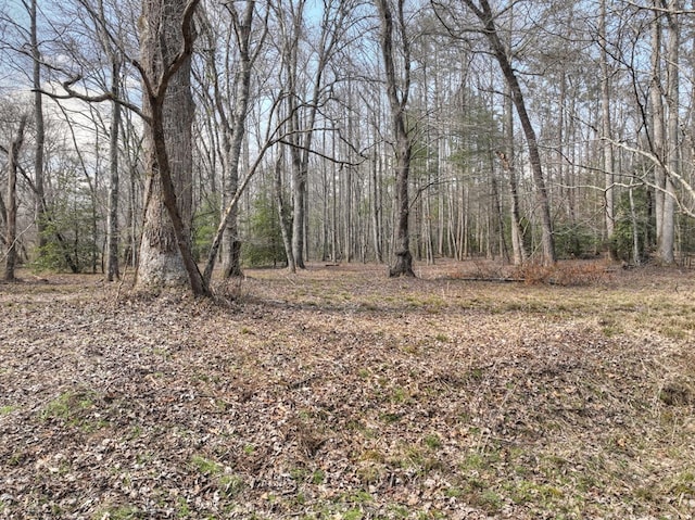 Listing photo 3 for 5AC Pack Creek Rd, Blue Ridge GA 30513