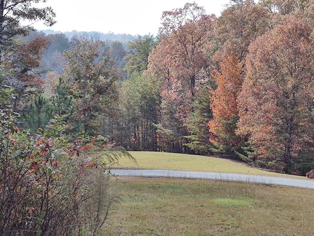 34/35 Wolf Crk, Highlands, Mineral Bluff, GA 30559