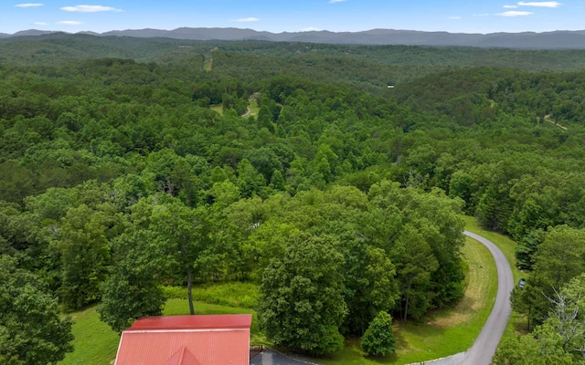 34/35 Wolf Crk, Highlands, Mineral Bluff, GA 30559