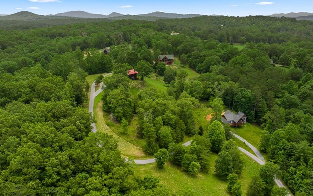 34/35 Wolf Crk, Highlands, Mineral Bluff, GA 30559