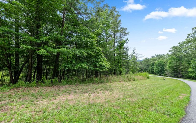 34/35 Wolf Crk, Highlands, Mineral Bluff, GA 30559