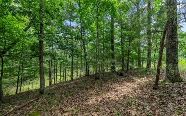34/35 Wolf Crk, Highlands, Mineral Bluff, GA 30559