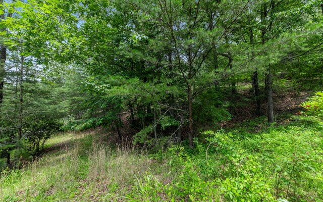 34/35 Wolf Crk, Highlands, Mineral Bluff, GA 30559