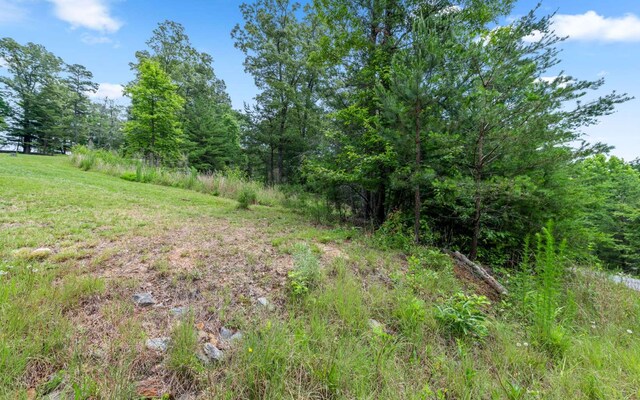 34/35 Wolf Crk, Highlands, Mineral Bluff, GA 30559