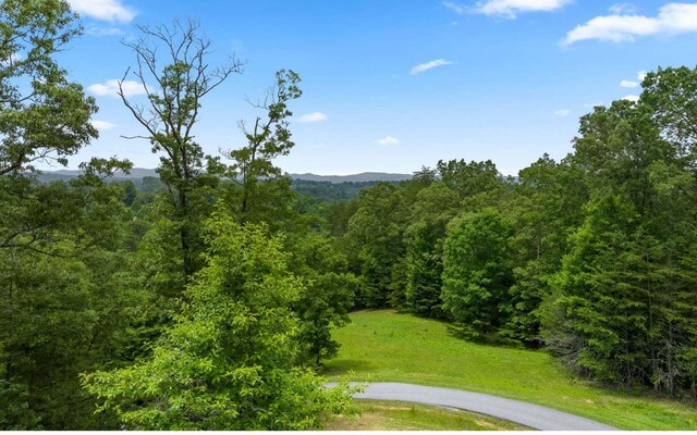 34/35 Wolf Crk, Highlands, Mineral Bluff, GA 30559