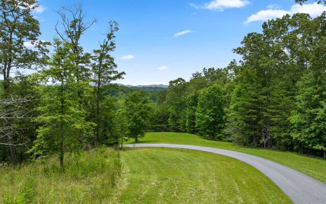 34/35 Wolf Crk, Highlands, Mineral Bluff, GA 30559
