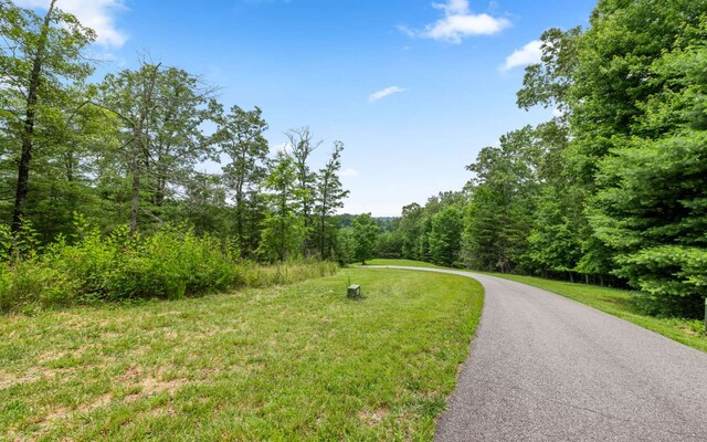 34/35 Wolf Crk, Highlands, Mineral Bluff, GA 30559