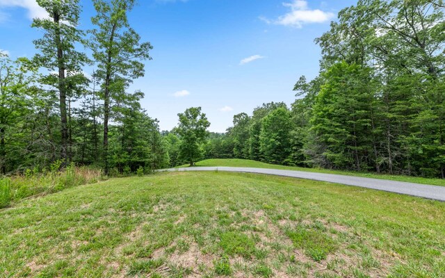 34/35 Wolf Crk, Highlands, Mineral Bluff, GA 30559