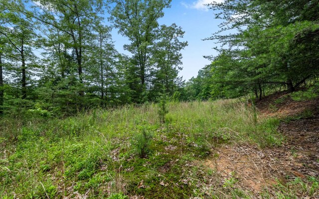 34/35 Wolf Crk, Highlands, Mineral Bluff, GA 30559