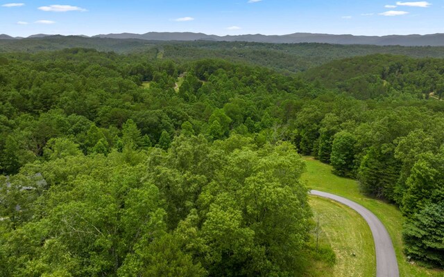34/35 Wolf Crk, Highlands, Mineral Bluff, GA 30559