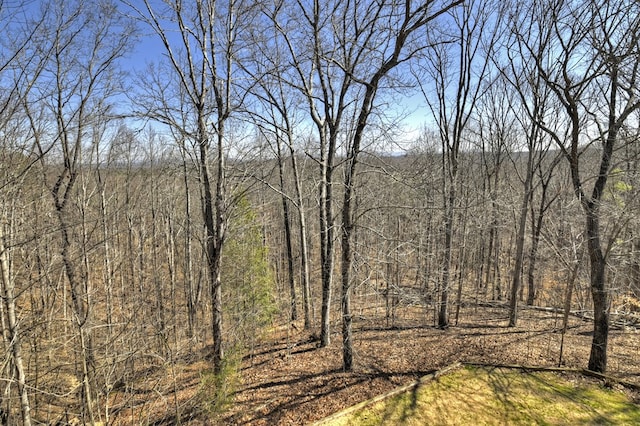 view of local wilderness with a forest view