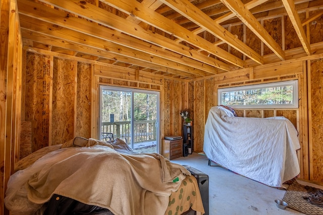 bedroom with access to exterior and multiple windows