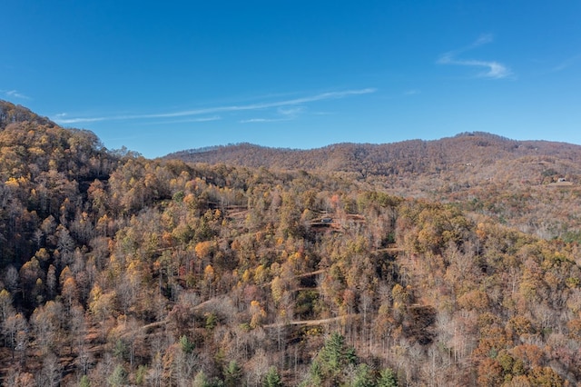 property view of mountains