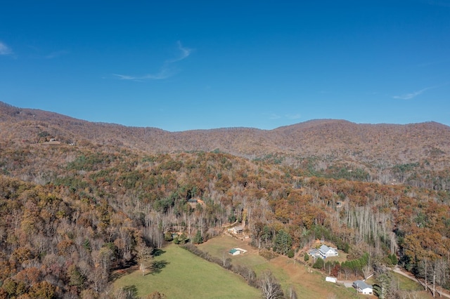 bird's eye view featuring a mountain view