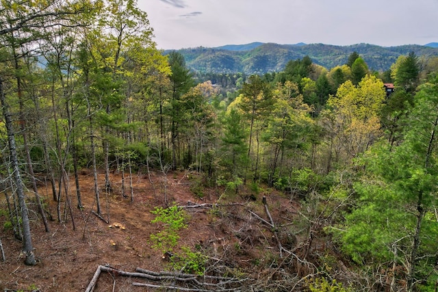 Listing photo 2 for LOT52 Community Hill Dr, Blue Ridge GA 30513