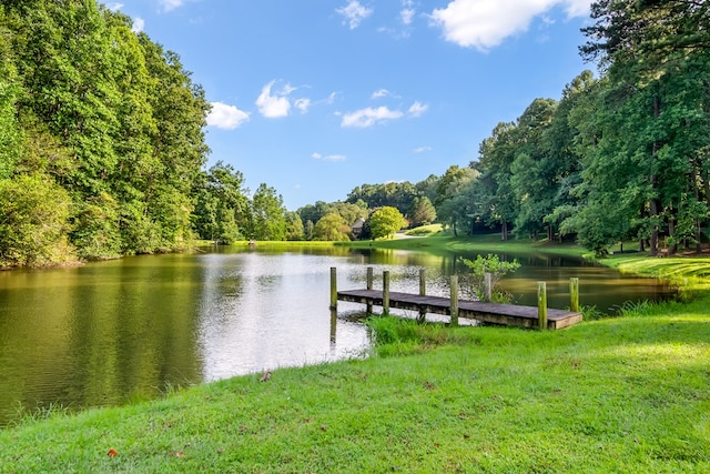 165 Timberwalk Dr, Ellijay, GA 30540 - dock with a water view and a yard