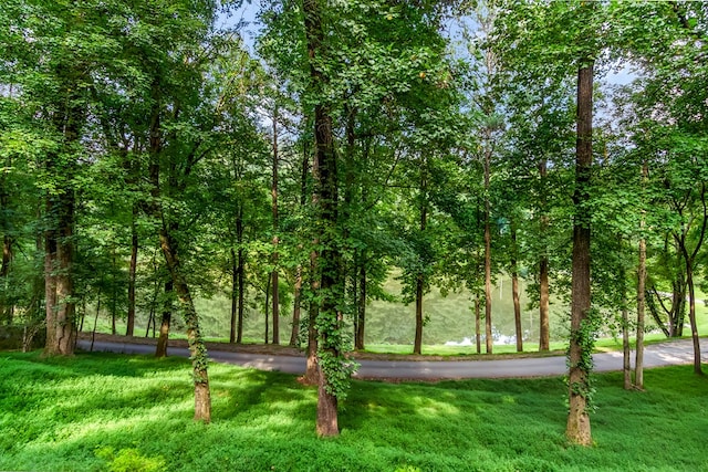 165 Timberwalk Dr, Ellijay, GA 30540 - view of property's community featuring a lawn