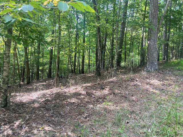 LOT3279 Haven Ct, Ellijay, GA 30540