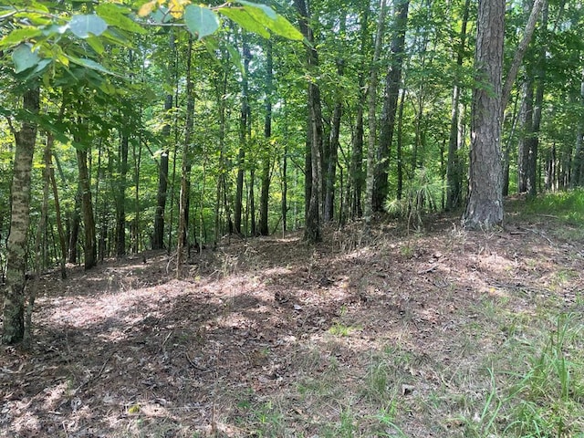 LOT3279 Haven Ct, Ellijay GA, 30540 land for sale