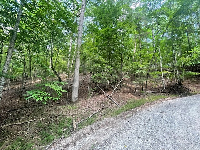 Listing photo 2 for LOT3279 Haven Ct, Ellijay GA 30540