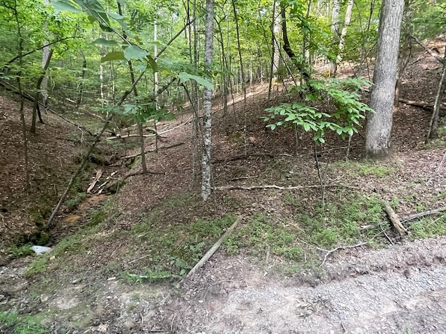 Listing photo 3 for LOT3279 Haven Ct, Ellijay GA 30540