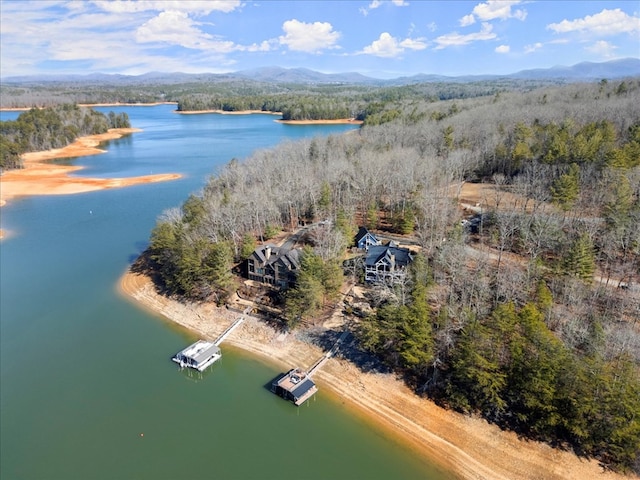 drone / aerial view featuring a view of trees and a water and mountain view