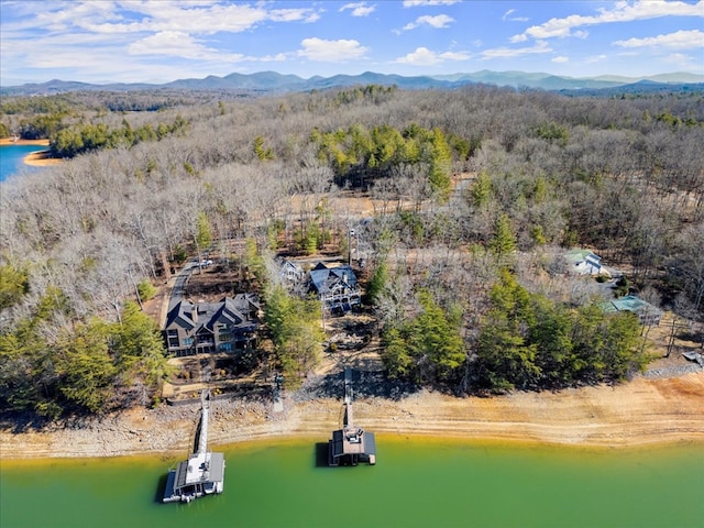 bird's eye view featuring a water and mountain view