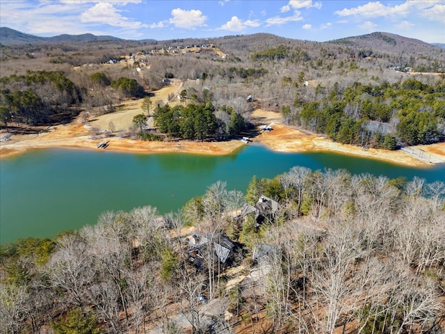 bird's eye view with a water and mountain view